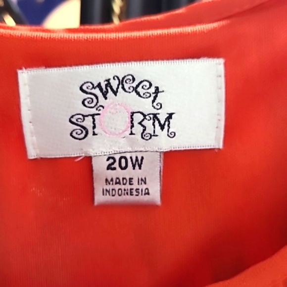 Sweet Storm Chiffon Orange Dress with Tan & White Around the Bottom, Size 20W - Picture 7 of 9